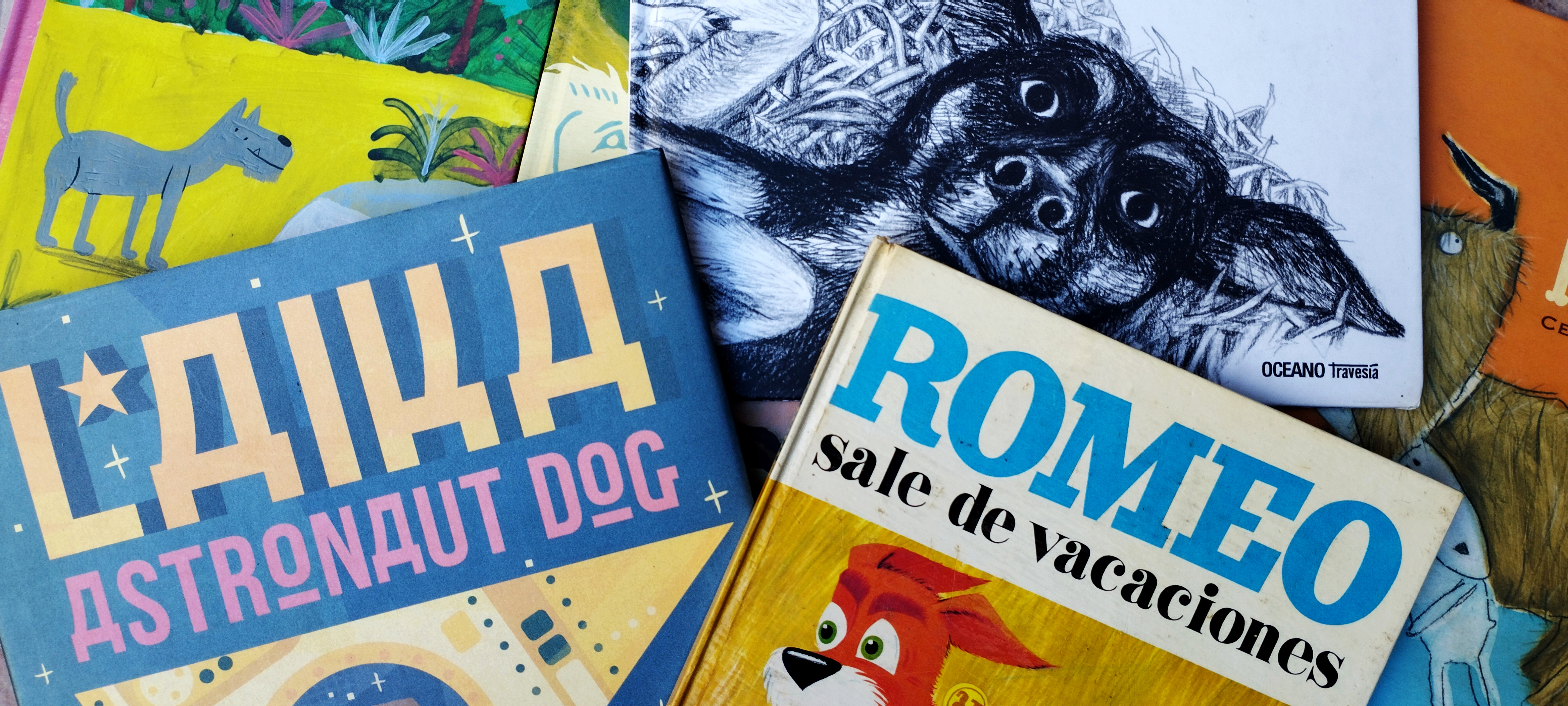 Libros álbum e ilustrados