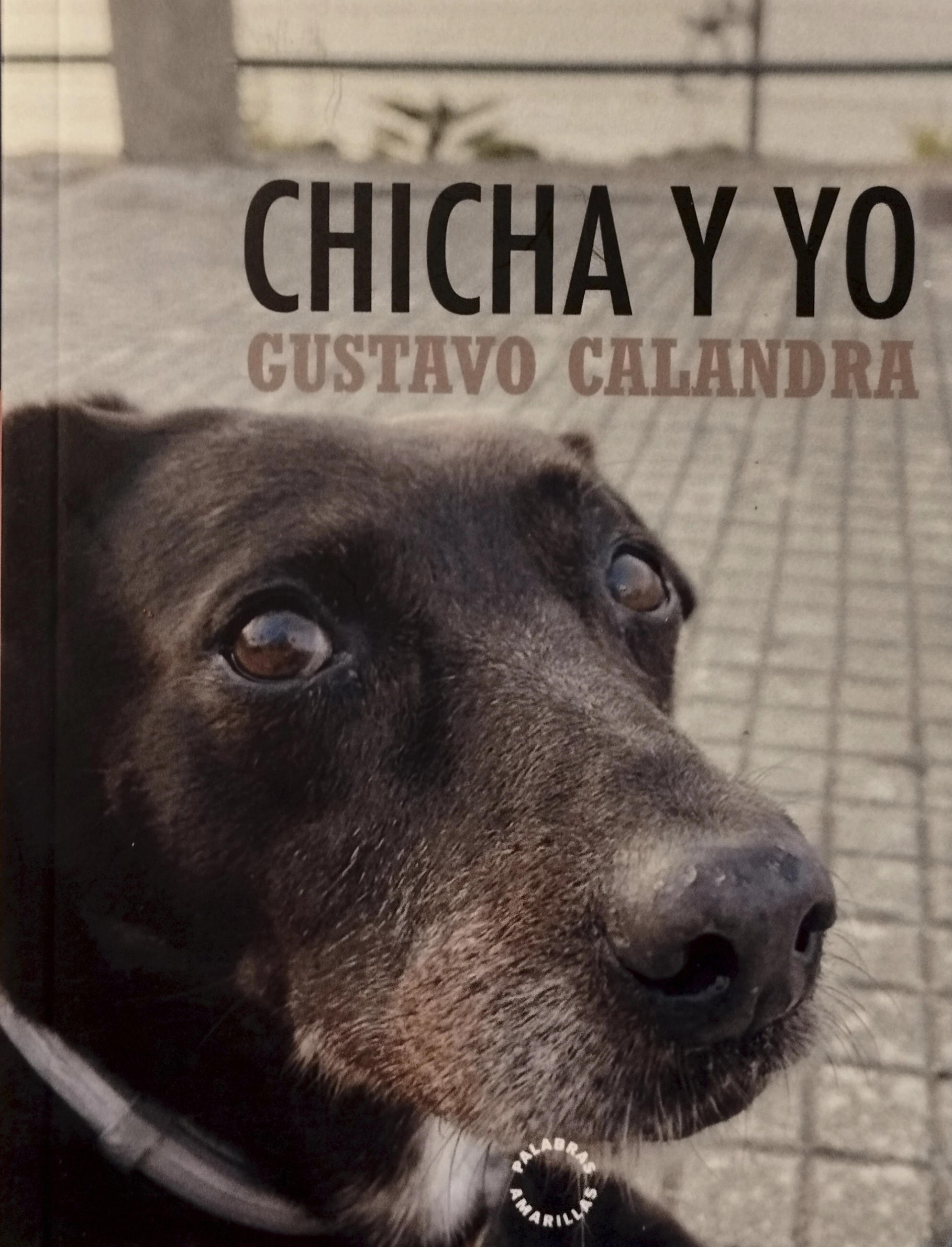 Portada: Chicha y yo