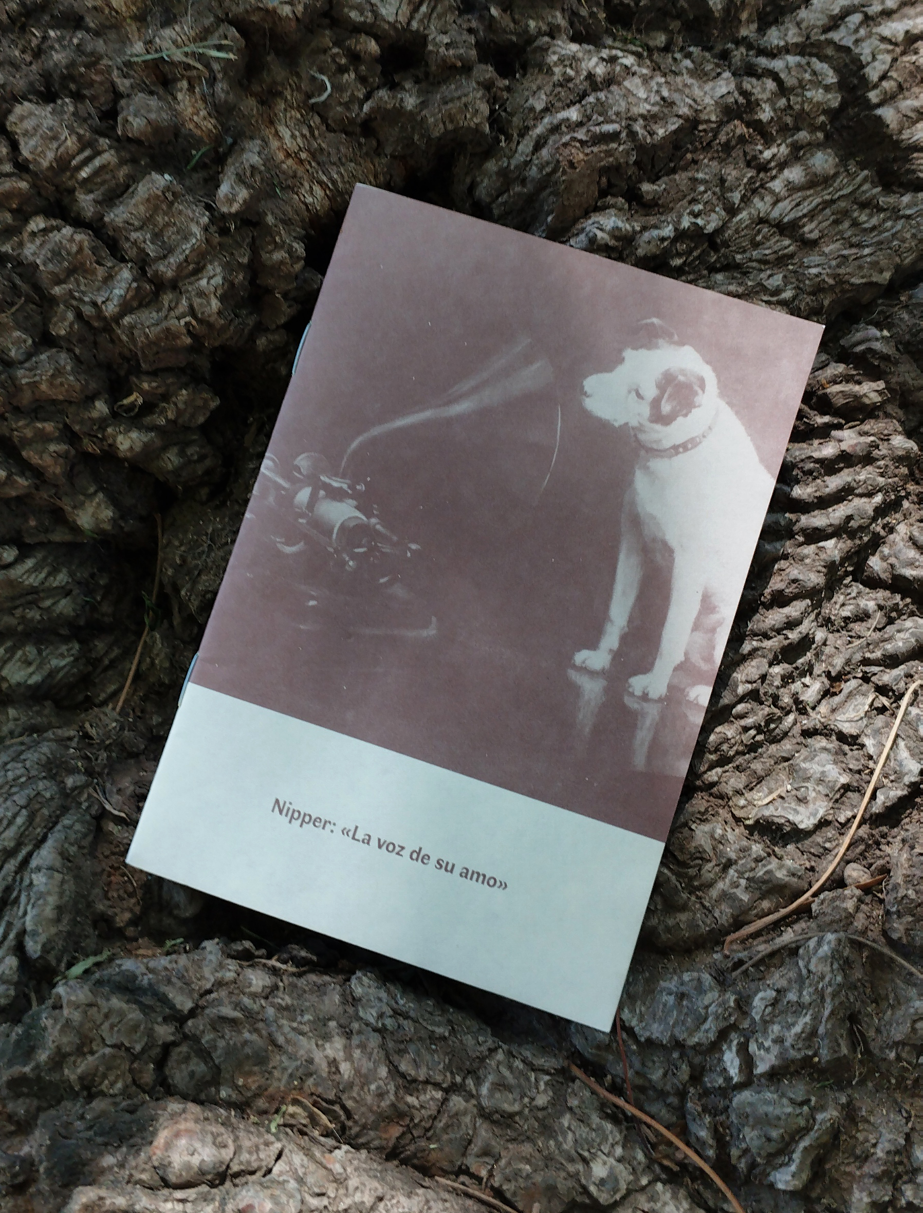 Archivo fotográfico canino de La Perroteca